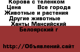 Корова с теленком › Цена ­ 69 - Все города Животные и растения » Другие животные   . Ханты-Мансийский,Белоярский г.